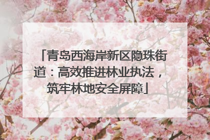 青岛西海岸新区隐珠街道：高效推进林业执法，筑牢林地安全屏障