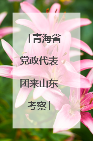 青海省党政代表团来山东考察