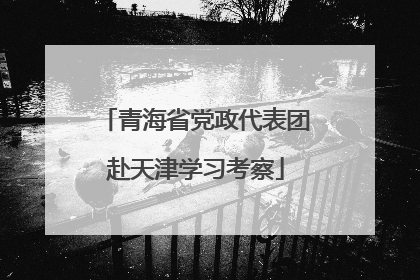 青海省党政代表团赴天津学习考察