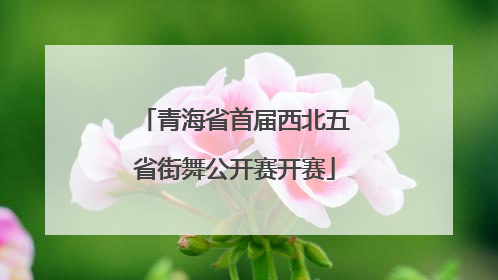 青海省首届西北五省街舞公开赛开赛