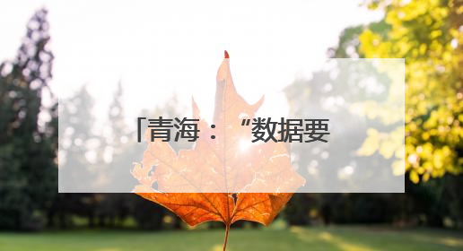 青海：“数据要素×”大赛七大赛题构建绿电算力融合新生态