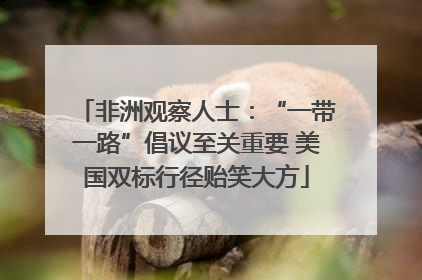 非洲观察人士：“一带一路”倡议至关重要 美国双标行径贻笑大方
