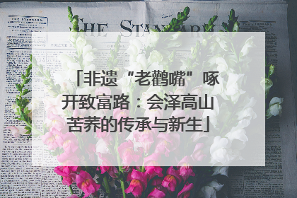 非遗“老鹳嘴”啄开致富路：会泽高山苦荞的传承与新生
