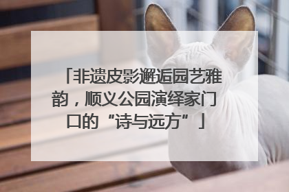 非遗皮影邂逅园艺雅韵，顺义公园演绎家门口的“诗与远方”