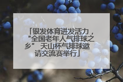 银发体育迸发活力，“全国老年人气排球之乡” 天山杯气排球邀请交流赛举行