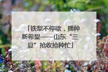 铁犁不停歇，播种新希望——山东“三夏”抢收抢种忙