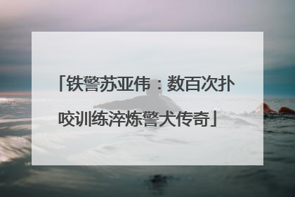 铁警苏亚伟：数百次扑咬训练淬炼警犬传奇