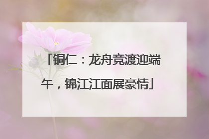 铜仁：龙舟竞渡迎端午，锦江江面展豪情