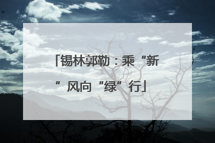 锡林郭勒：乘“新”风向“绿”行