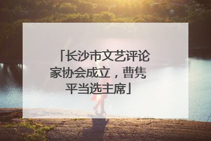 长沙市文艺评论家协会成立，曹隽平当选主席