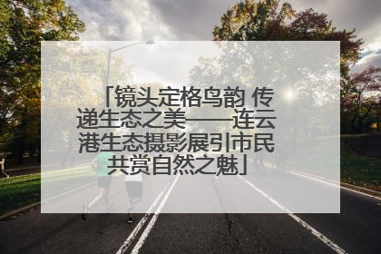 镜头定格鸟韵 传递生态之美——连云港生态摄影展引市民共赏自然之魅