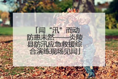 闻“汛”而动 防患未然——炎陵县防汛应急救援综合演练现场见闻