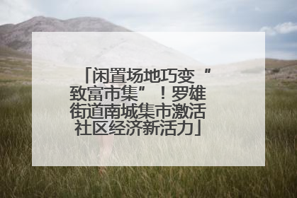 闲置场地巧变“致富市集”！罗雄街道南城集市激活社区经济新活力