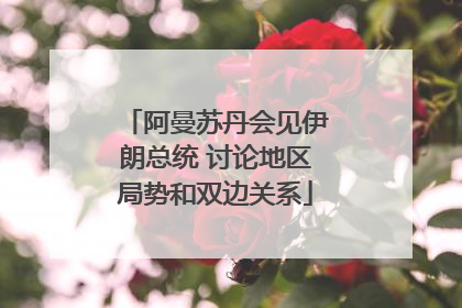 阿曼苏丹会见伊朗总统 讨论地区局势和双边关系