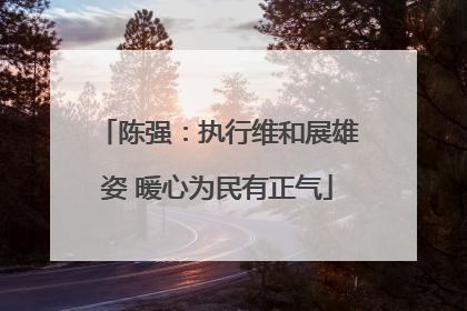 陈强：执行维和展雄姿 暖心为民有正气