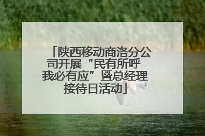 陕西移动商洛分公司开展“民有所呼 我必有应”暨总经理接待日活动