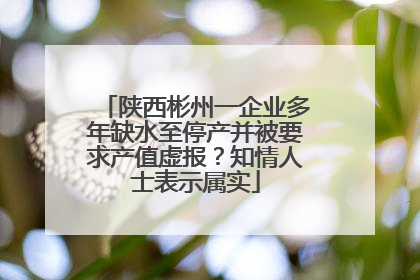 陕西彬州一企业多年缺水至停产并被要求产值虚报？知情人士表示属实