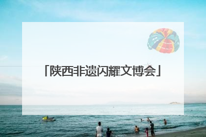 陕西非遗闪耀文博会