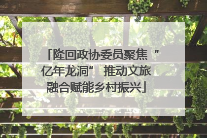 隆回政协委员聚焦“亿年龙洞” 推动文旅融合赋能乡村振兴