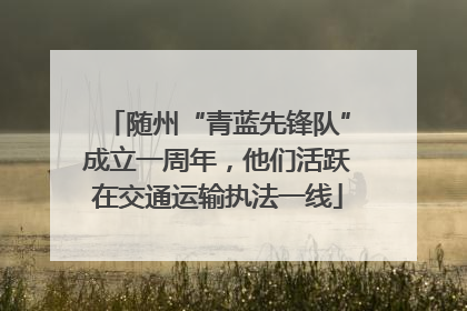 随州“青蓝先锋队”成立一周年，他们活跃在交通运输执法一线