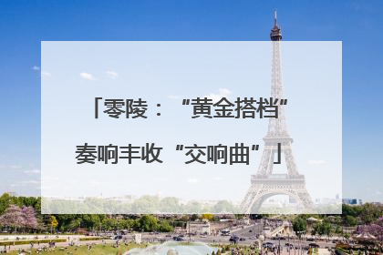 零陵：“黄金搭档”奏响丰收“交响曲”
