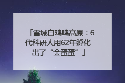 雪域白鸡鸣高原：6代科研人用62年孵化出了“金蛋蛋”