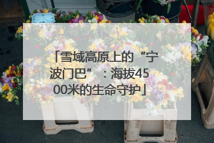 雪域高原上的“宁波门巴”：海拔4500米的生命守护