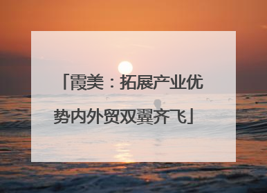 霞美：拓展产业优势内外贸双翼齐飞