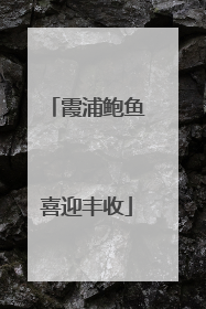 霞浦鲍鱼喜迎丰收
