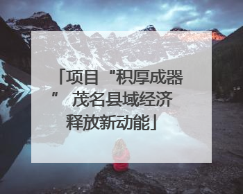 项目“积厚成器” 茂名县域经济释放新动能
