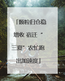 颗粒归仓稳增收 宿迁“三夏”农忙跑出加速度