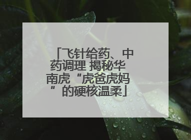 飞针给药、中药调理 揭秘华南虎“虎爸虎妈”的硬核温柔