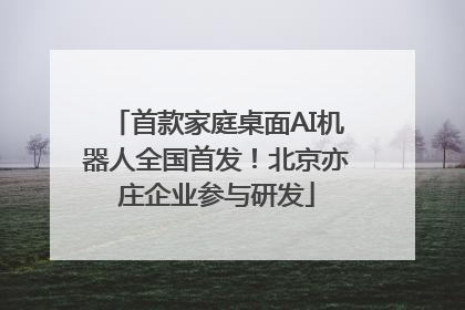 首款家庭桌面AI机器人全国首发！北京亦庄企业参与研发