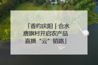 香约庆阳｜合水唐旗村开启农产品直播“云”销路