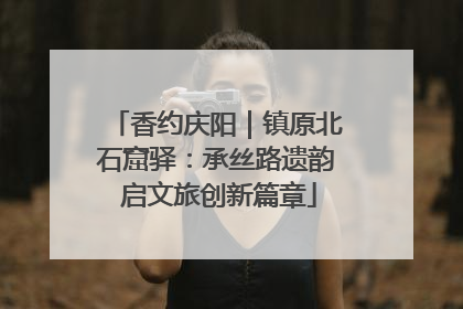 香约庆阳｜镇原北石窟驿：承丝路遗韵 启文旅创新篇章