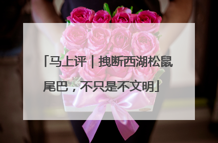 马上评｜拽断西湖松鼠尾巴，不只是不文明