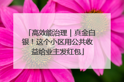 高效能治理｜真金白银！这个小区用公共收益给业主发红包