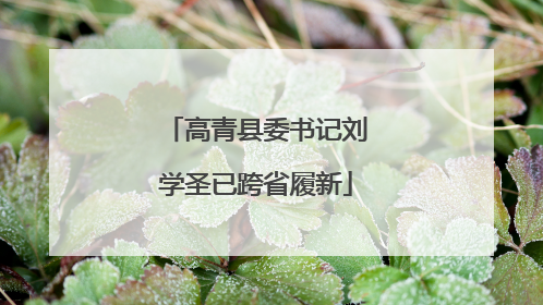 高青县委书记刘学圣已跨省履新
