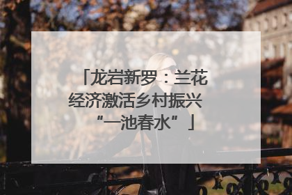 龙岩新罗：兰花经济激活乡村振兴“一池春水”