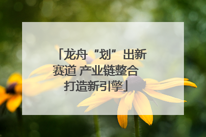 龙舟“划”出新赛道 产业链整合打造新引擎
