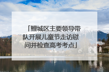 鲤城区主要领导带队开展儿童节走访慰问并检查高考考点
