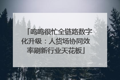 鸣鸣很忙全链路数字化升级：人货场协同效率刷新行业天花板