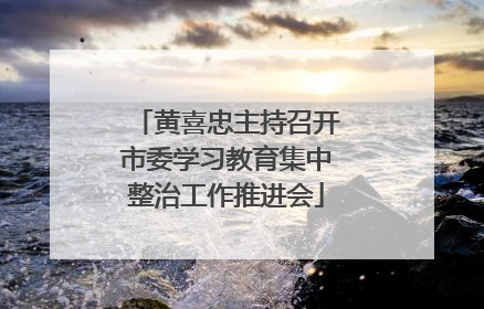 黄喜忠主持召开市委学习教育集中整治工作推进会