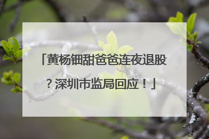 黄杨钿甜爸爸连夜退股？深圳市监局回应！