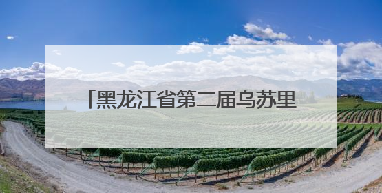 黑龙江省第二届乌苏里江界江联盟大会举行