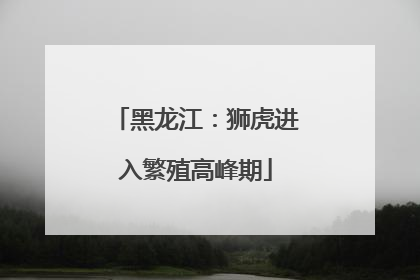 黑龙江：狮虎进入繁殖高峰期