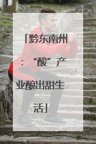 黔东南州：“酸”产业酿出甜生活
