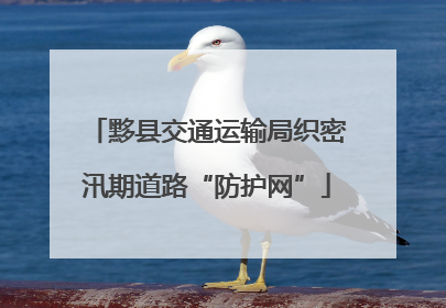黟县交通运输局织密汛期道路“防护网”
