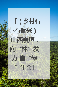 （乡村行·看振兴）山西襄垣：向“林”发力 借“绿”生金