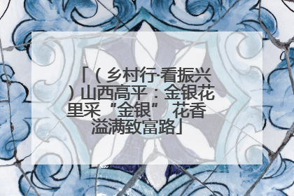 （乡村行·看振兴）山西高平：金银花里采“金银” 花香溢满致富路